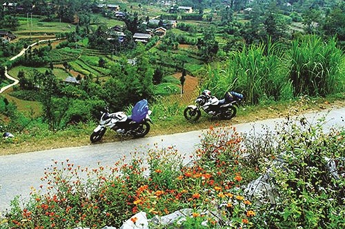 Xòe bàn tay cho hoa nở