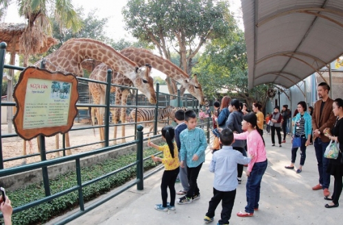 Lãng phí cơ hội kinh doanh