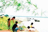 Chuyện ở làng họa sĩ