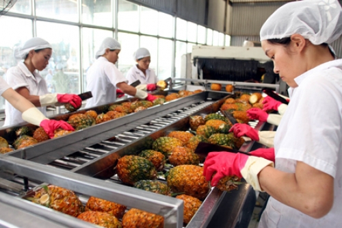 Gọi vốn vào công nghiệp chế biến thực phẩm