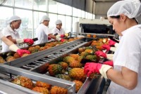 Gọi vốn vào công nghiệp chế biến thực phẩm
