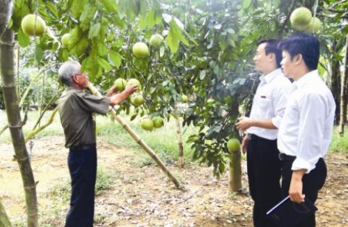 Tăng chất vốn cho tam nông